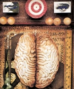 Neuroarte